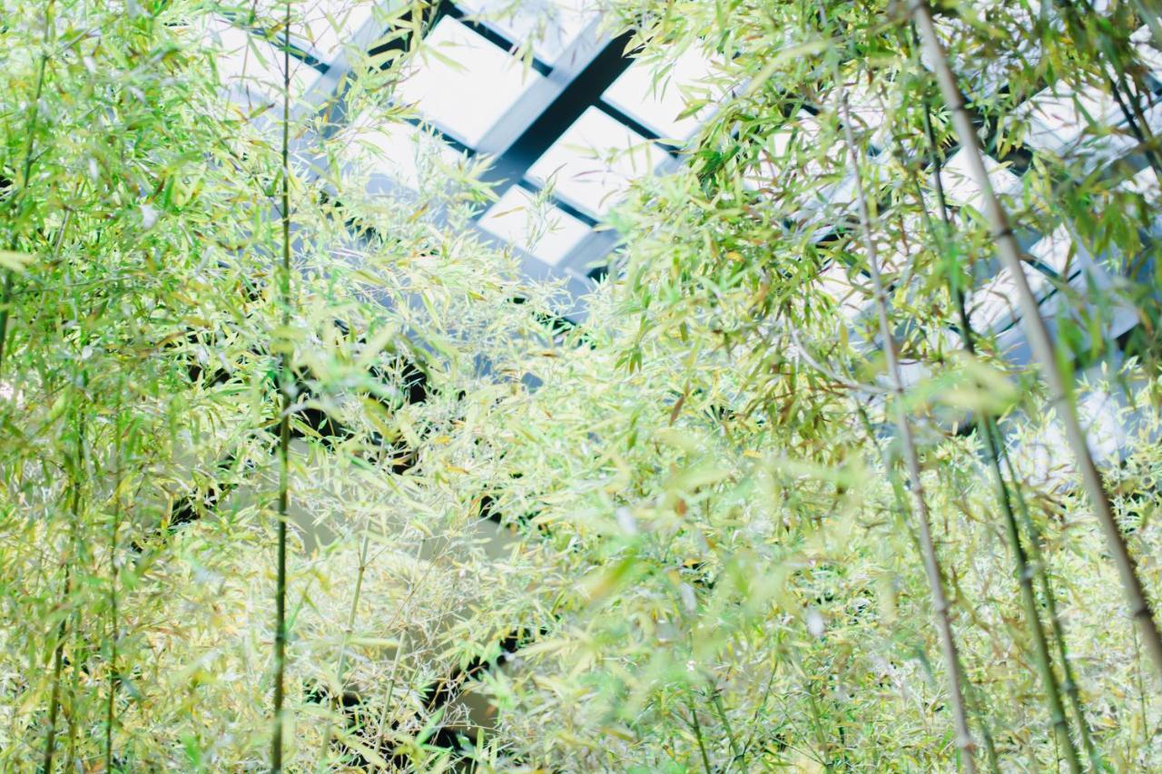 Hotel Dhawa Yura Kyoto - Banyan Group Exteriér fotografie Bamboo forest